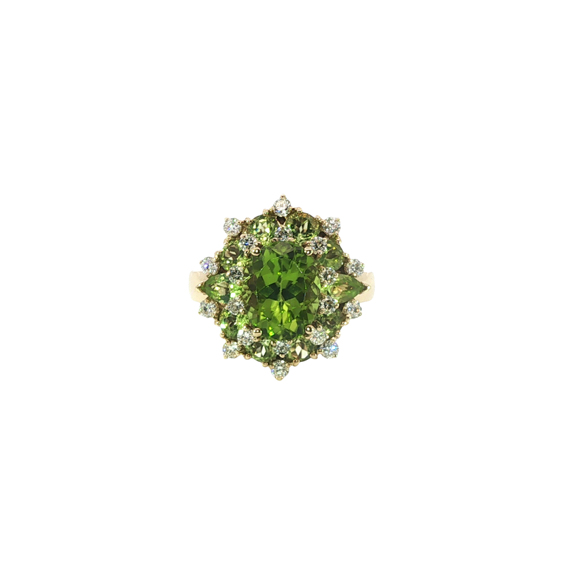 14K Yellow Gold Fashion Rings | Carroll's