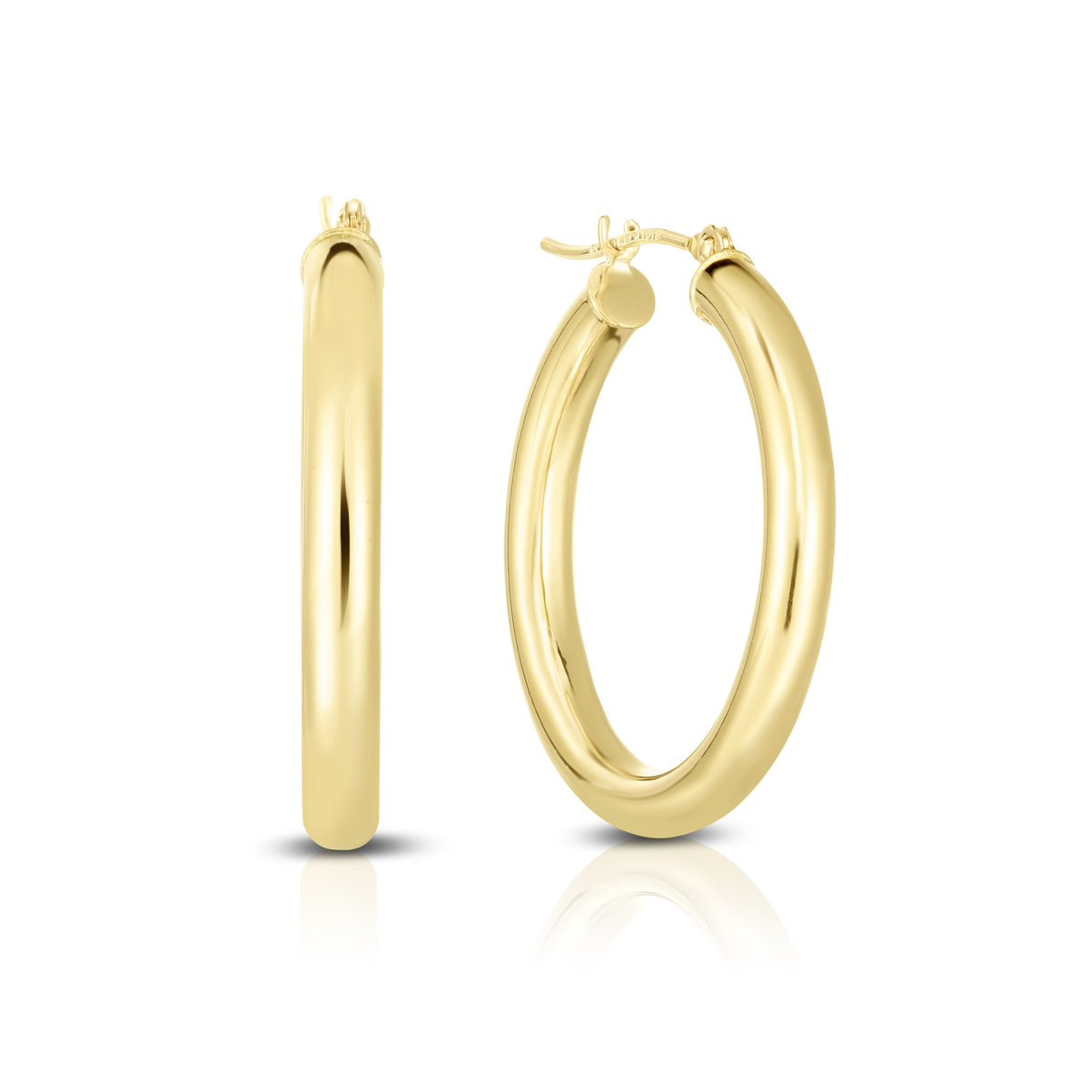 10K Yellow Gold Earrings | Carroll's