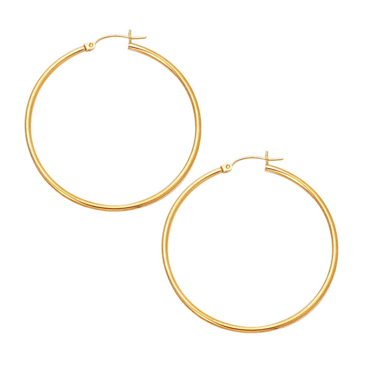 10K Yellow Gold Earrings | Carroll's