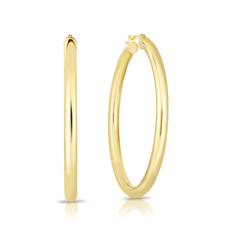 10K Yellow Gold Earrings | Carroll's