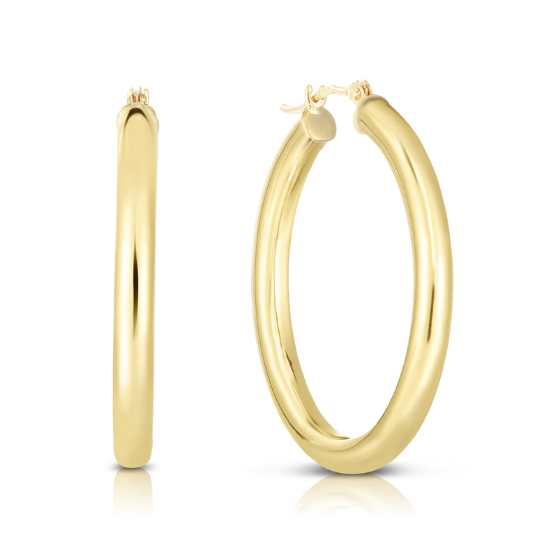 10K Yellow Gold Earrings | Carroll's