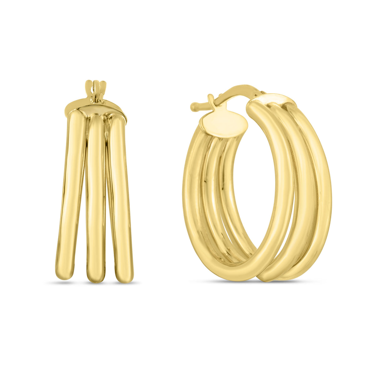 14K Yellow Gold Earrings | Carroll's