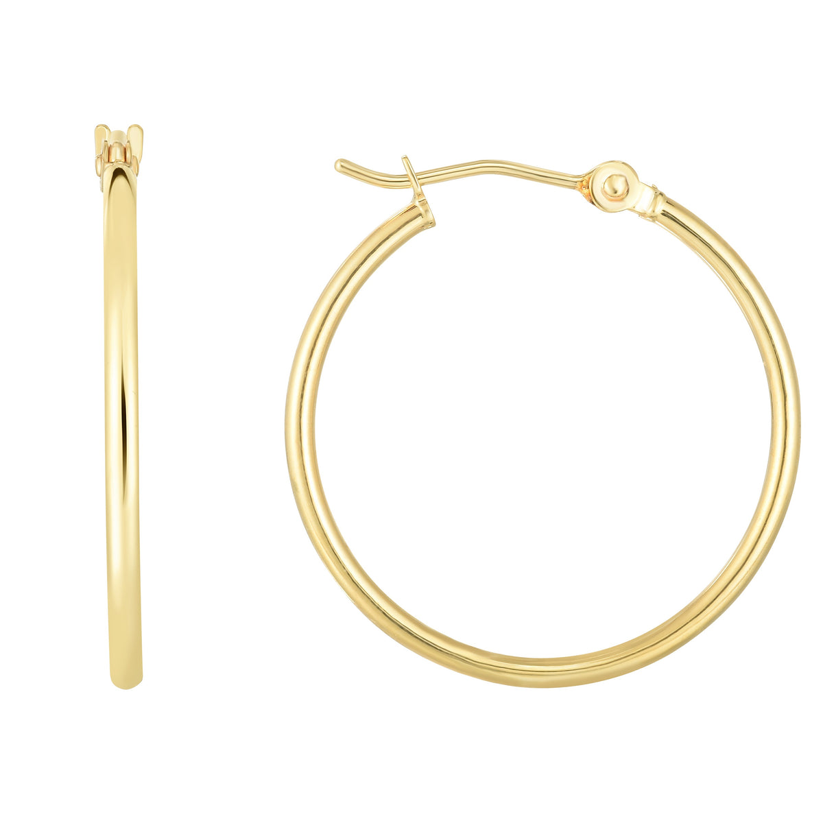 14K Yellow Gold Earrings | Carroll's
