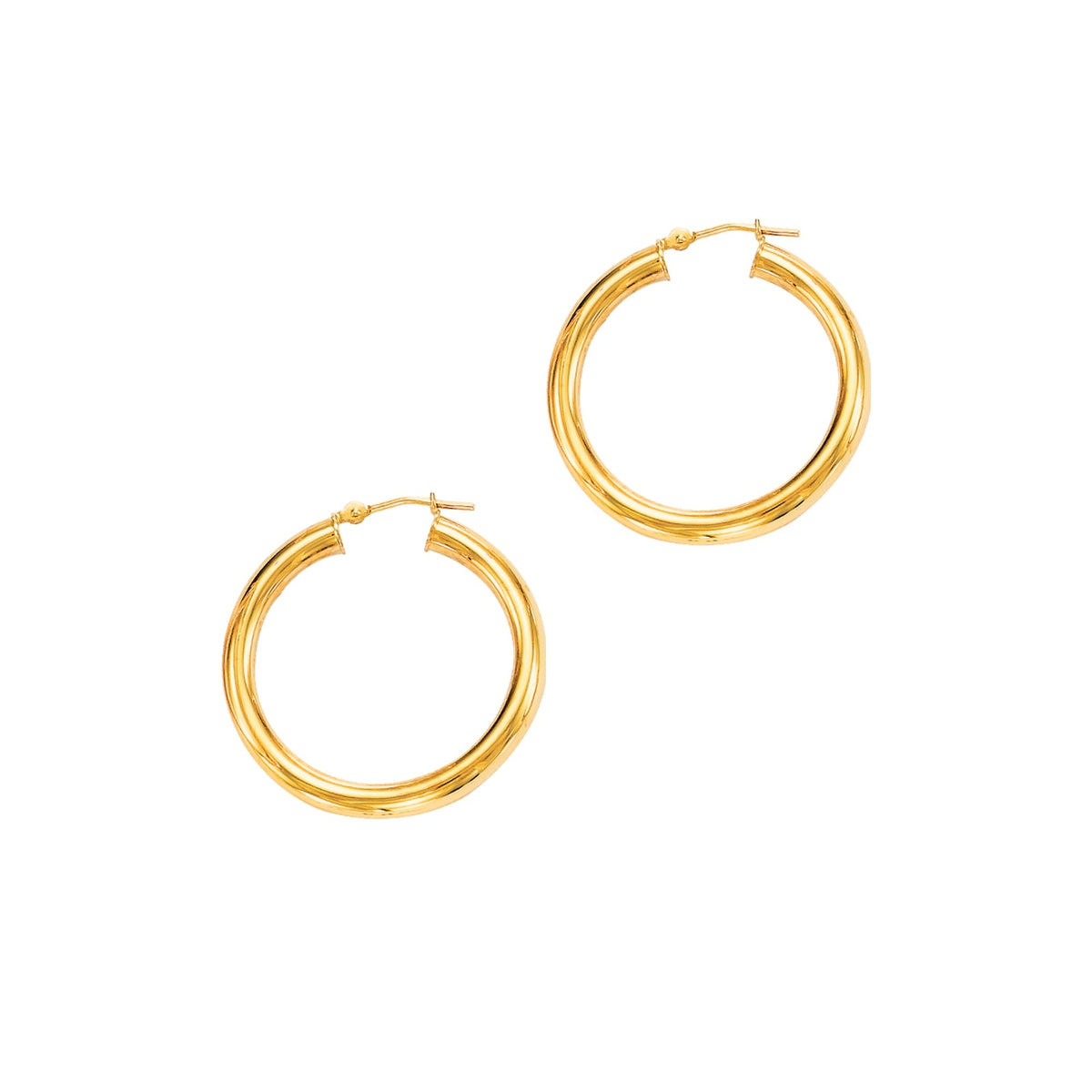 14K Yellow Gold Earrings | Carroll's