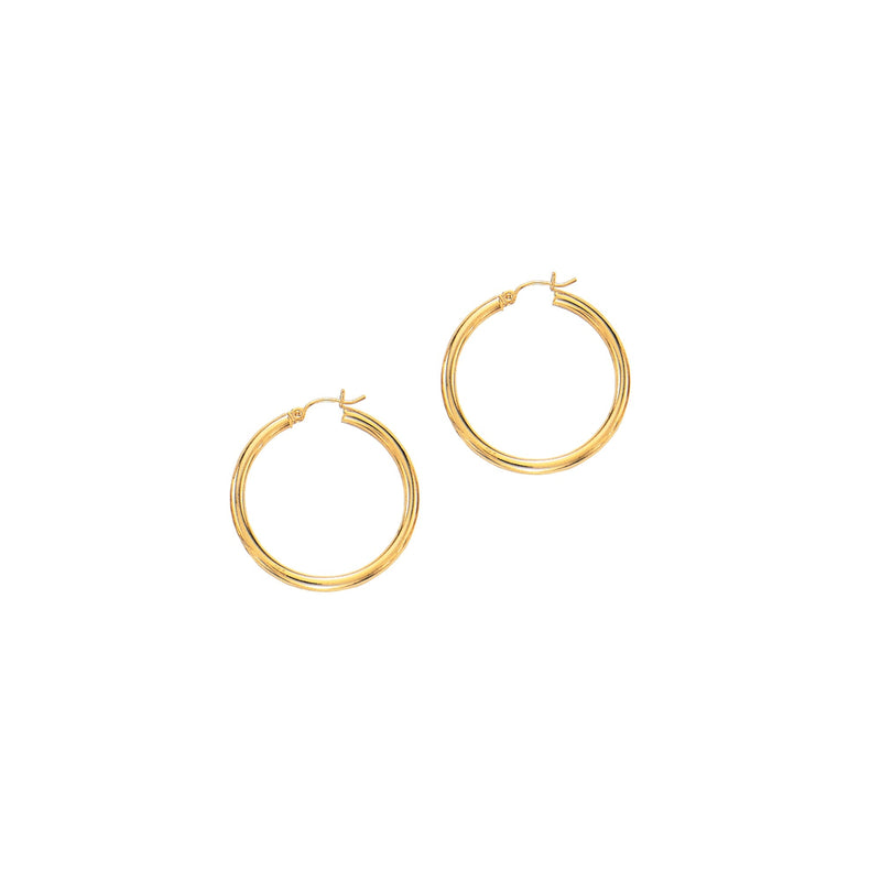 14K Yellow Gold Earrings | Carroll's