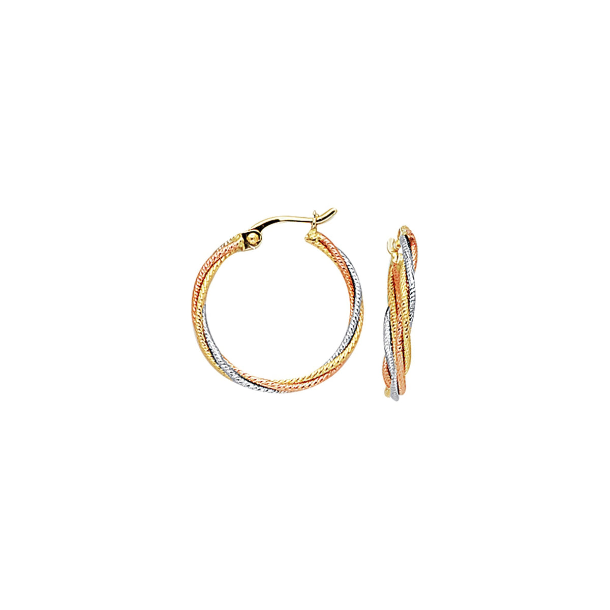 10K Yellow Gold Earrings | Carroll's