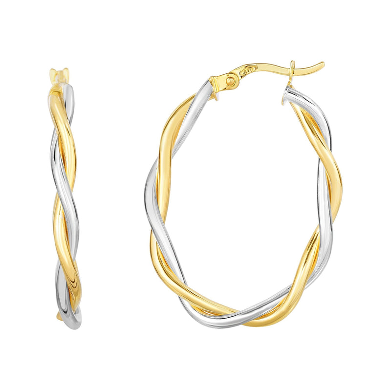 10K Two-Tone Gold Earrings | Carroll's