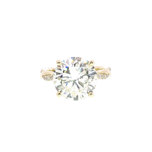 14K Yellow Gold Fashion Rings | Carroll's