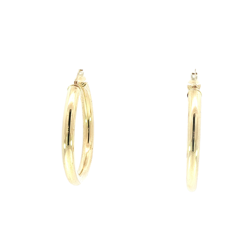 14K Yellow Gold Earrings | Carroll's