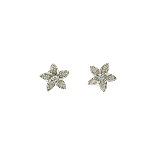 14K White Gold Earrings | Carroll's