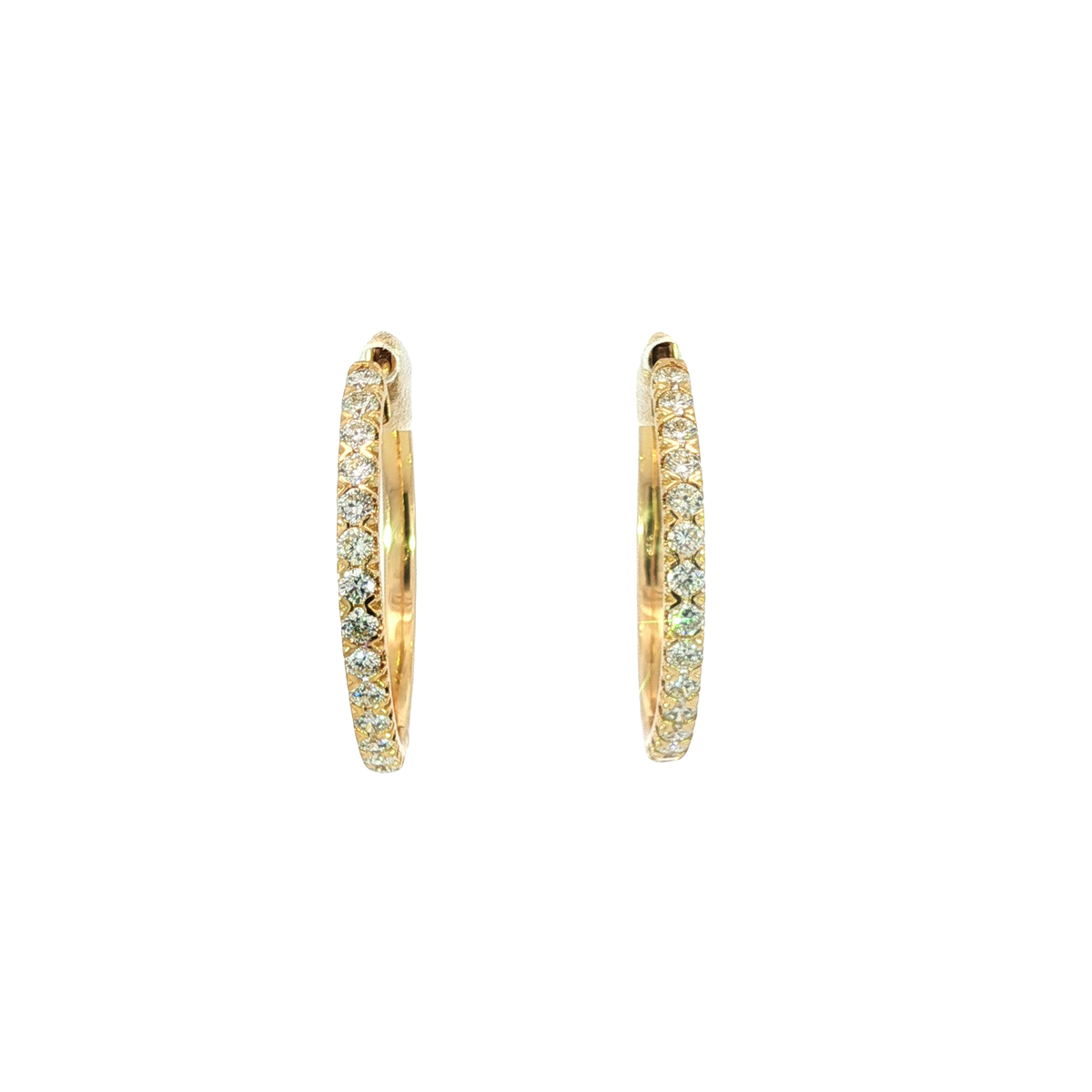 14K Yellow Gold Earrings | Carroll's