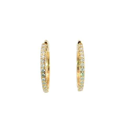 14K Yellow Gold Earrings | Carroll's