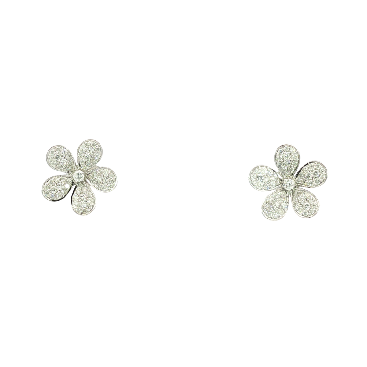 14K White Gold Earrings | Carroll's