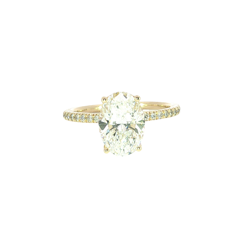 14K Yellow Gold Fashion Rings | Carroll's