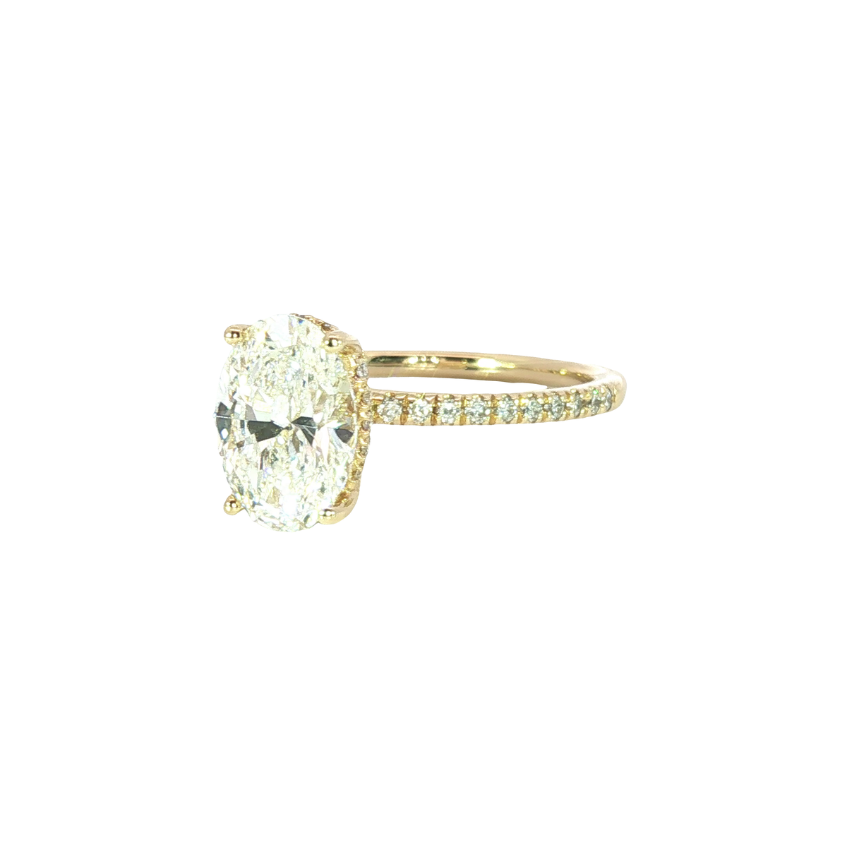 14K Yellow Gold Fashion Rings | Carroll's (view 3)