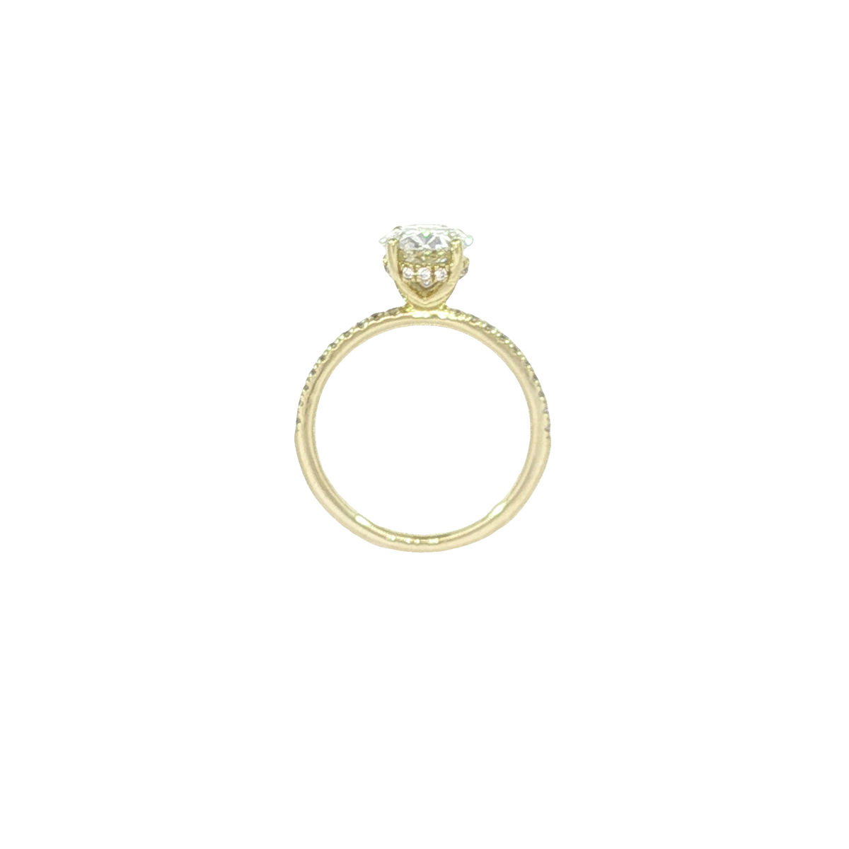 14K Yellow Gold Fashion Rings | Carroll's (view 2)
