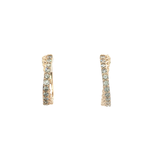 10K Yellow Gold Earrings | Carroll's