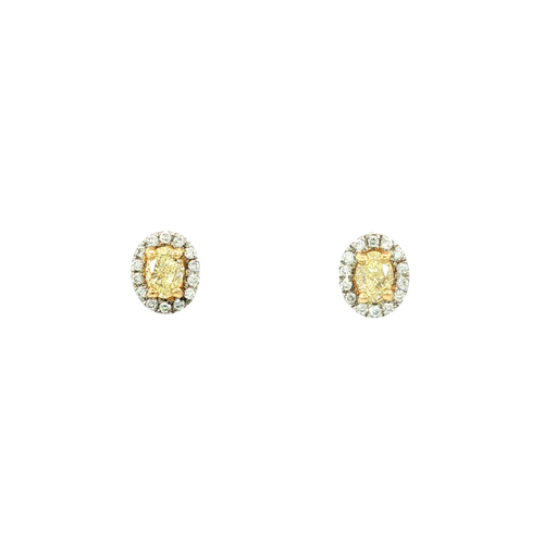 14K Two-Tone Gold Earrings | Carroll's