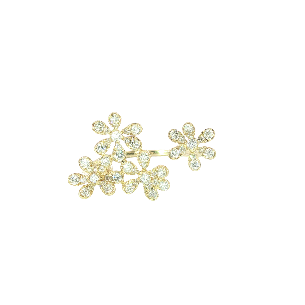 14K Yellow Gold Fashion Rings | Carroll's