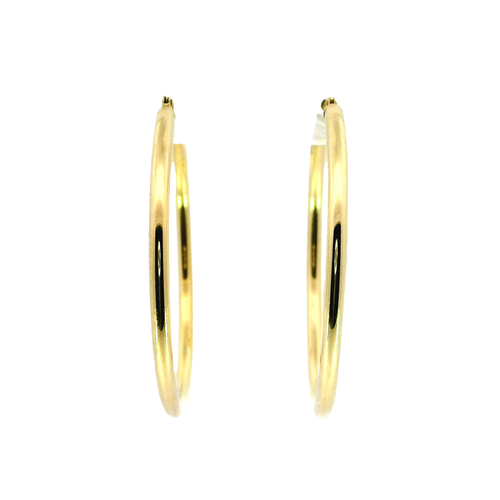 14K Yellow Gold Earrings | Carroll's