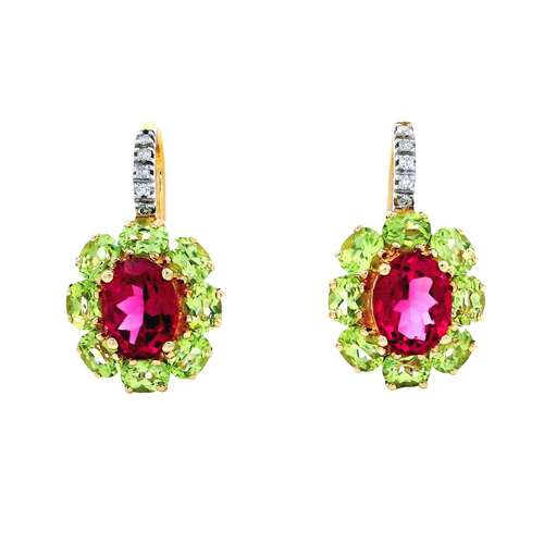14K Yellow Gold Earrings | Carroll's