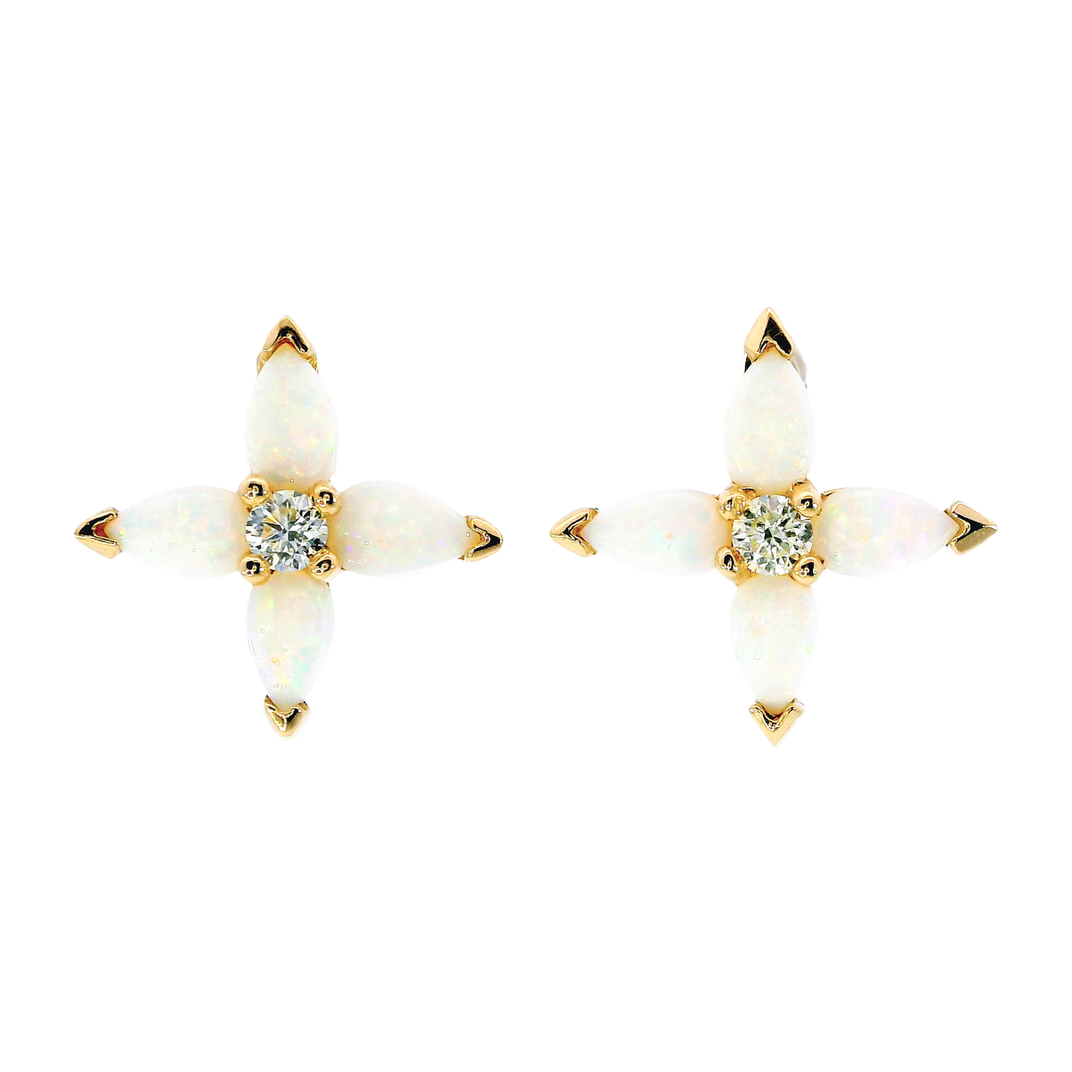 14K Yellow Gold Earrings | Carroll's
