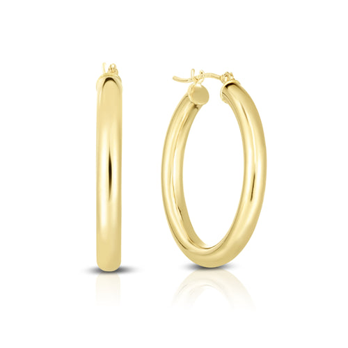 10K Yellow Gold Earrings | Carroll's