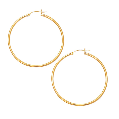 10K Yellow Gold Earrings | Carroll's