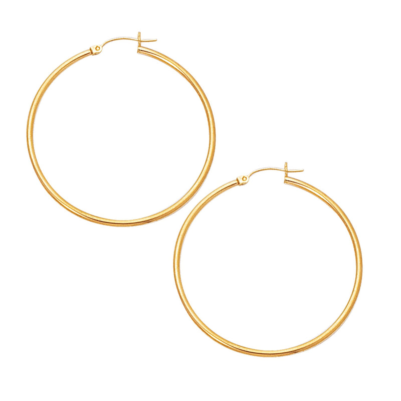 10K Yellow Gold Earrings | Carroll's
