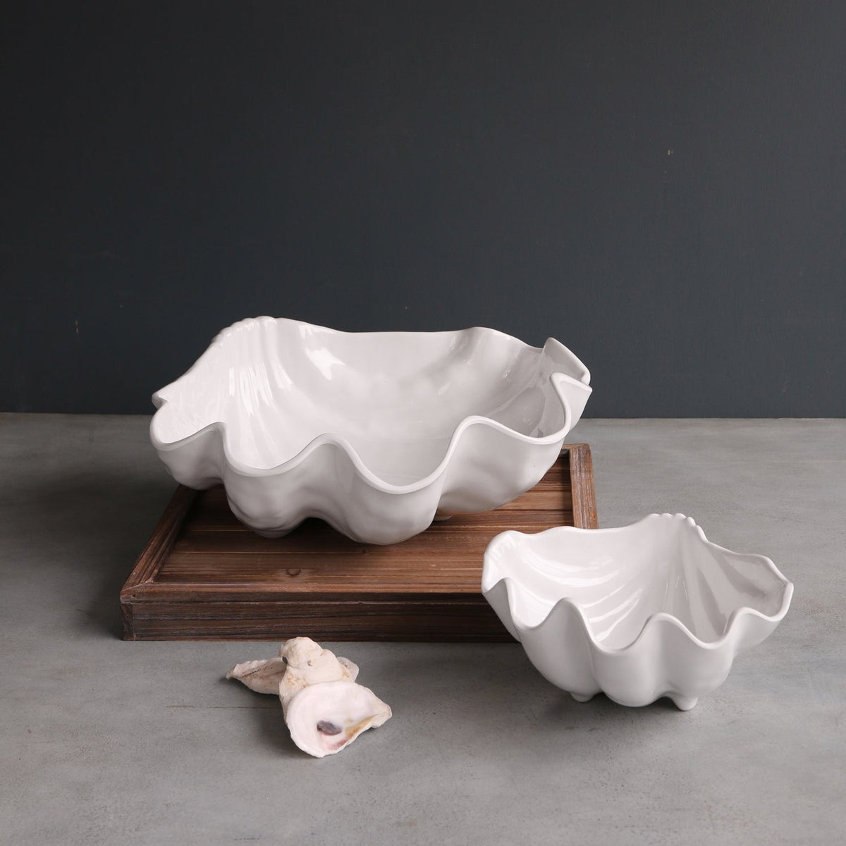 VIDA Ocean Shell Small Bowl (White)