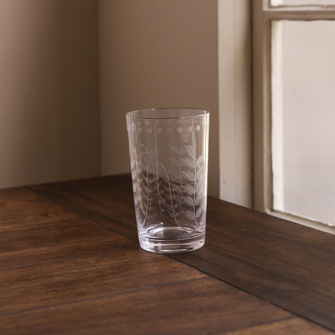 GLASS Fern with Dots Tumbler Set of 4 (Clear) 16 fl oz