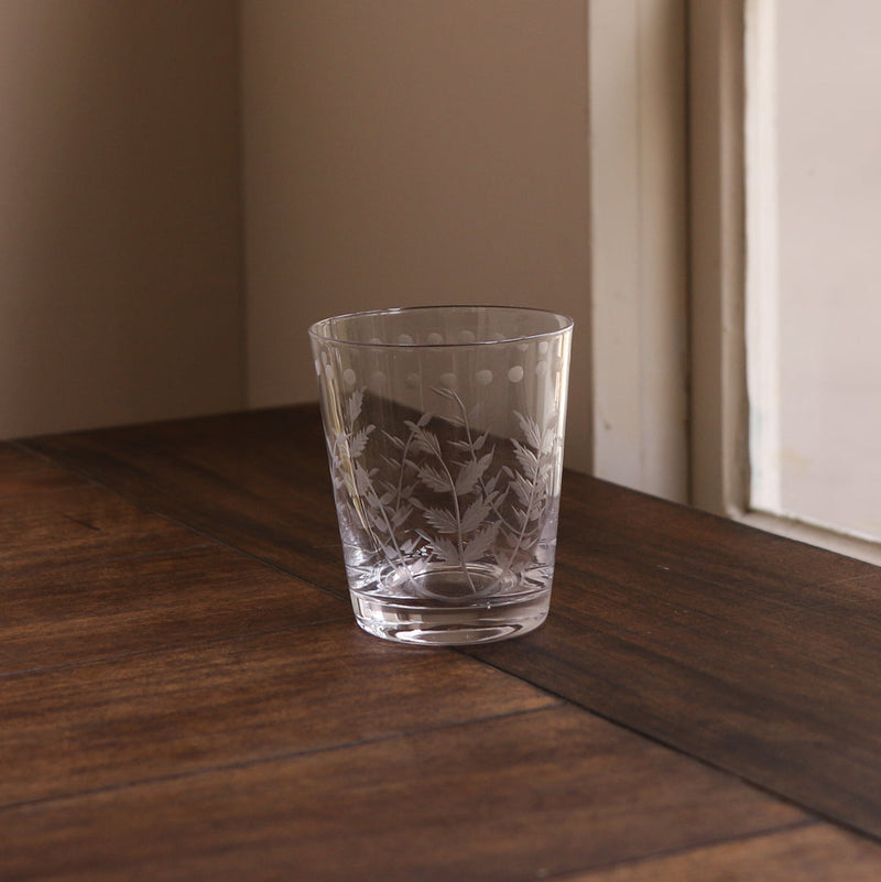 GLASS Fern with Dots Double Old Fashioned Set of 4 (Clear) 14 fl oz