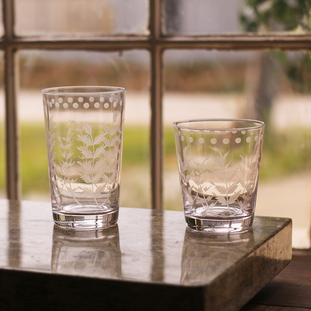 GLASS Fern with Dots Double Old Fashioned Set of 4 (Clear) 14 fl oz