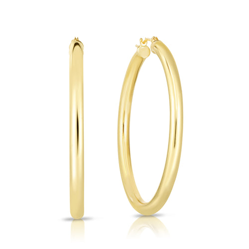 10K Yellow Gold Earrings | Carroll's