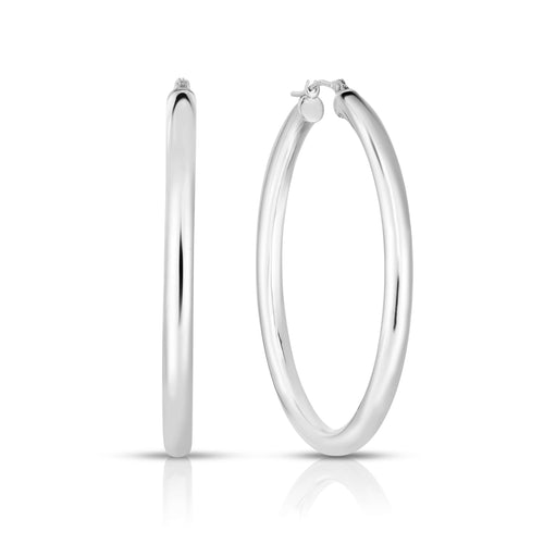 10K White Gold Earrings | Carroll's