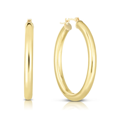 10K Yellow Gold Earrings | Carroll's