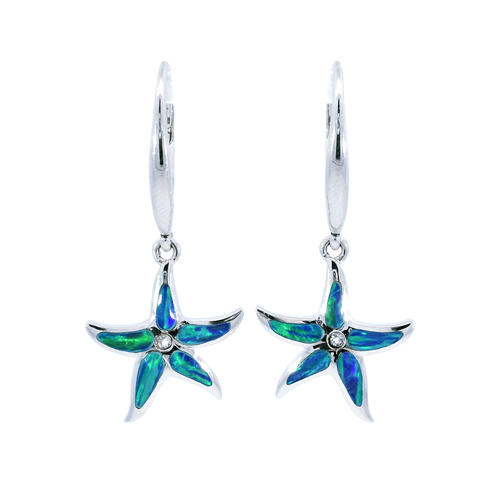 925 White Silver Earrings | Carroll's