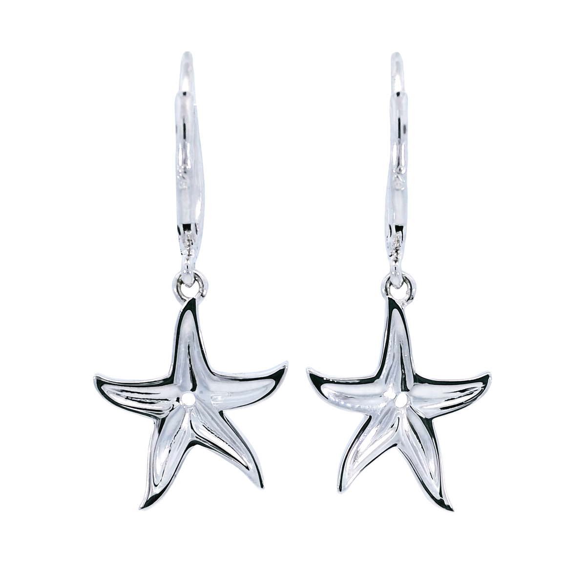 925 White Silver Earrings | Carroll's (view 3)