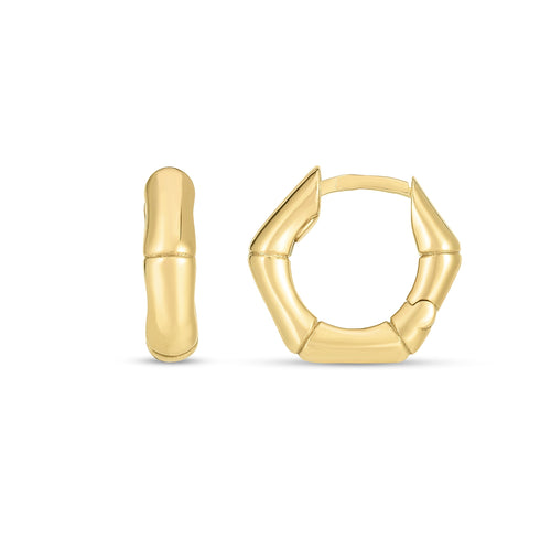 14K Yellow Gold Earrings | Carroll's