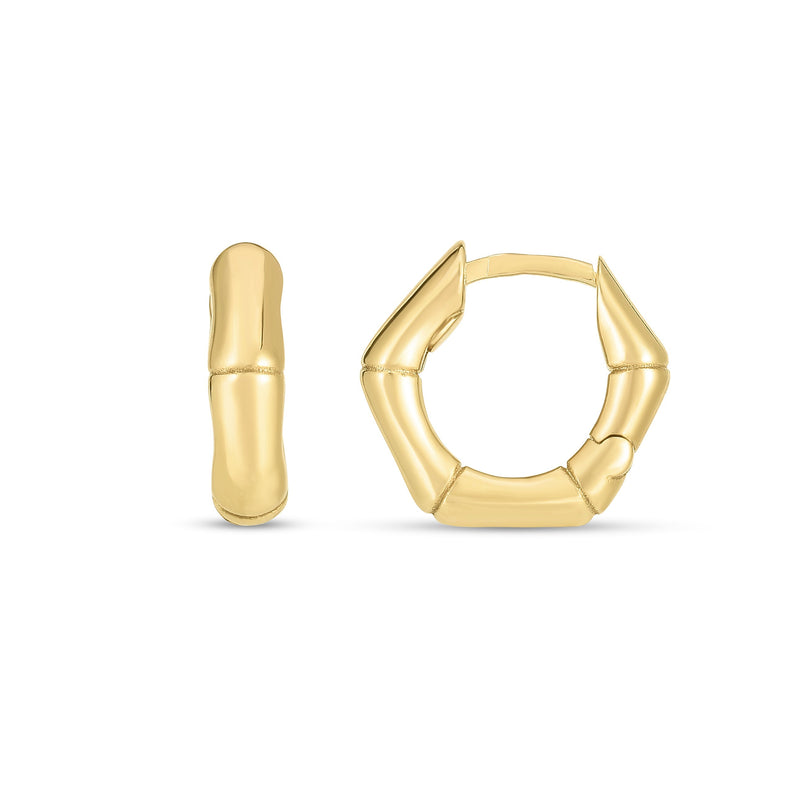14K Yellow Gold Earrings | Carroll's