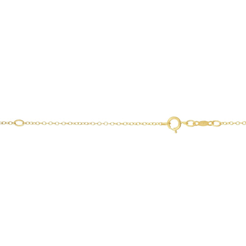 14K Yellow Gold Chains | Carroll's