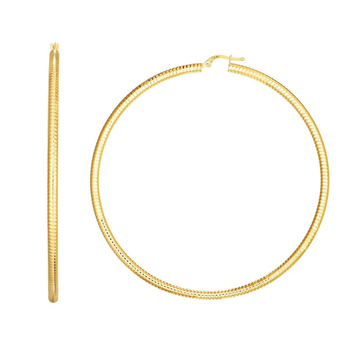 14K Yellow Gold Earrings | Carroll's