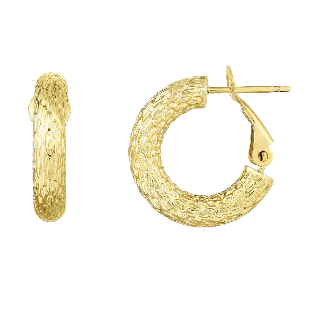 14K Yellow Gold Earrings | Carroll's