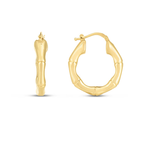 14K Yellow Gold Earrings | Carroll's