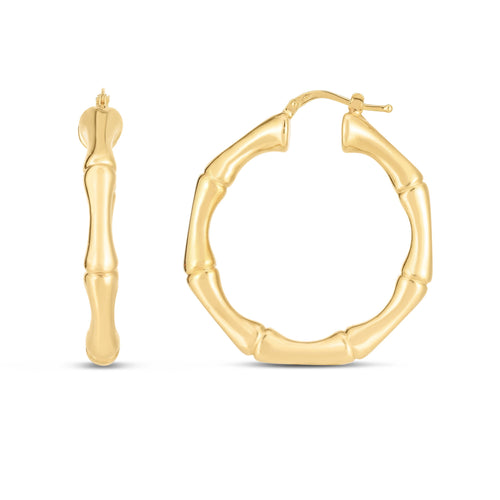 14K Yellow Gold Earrings | Carroll's