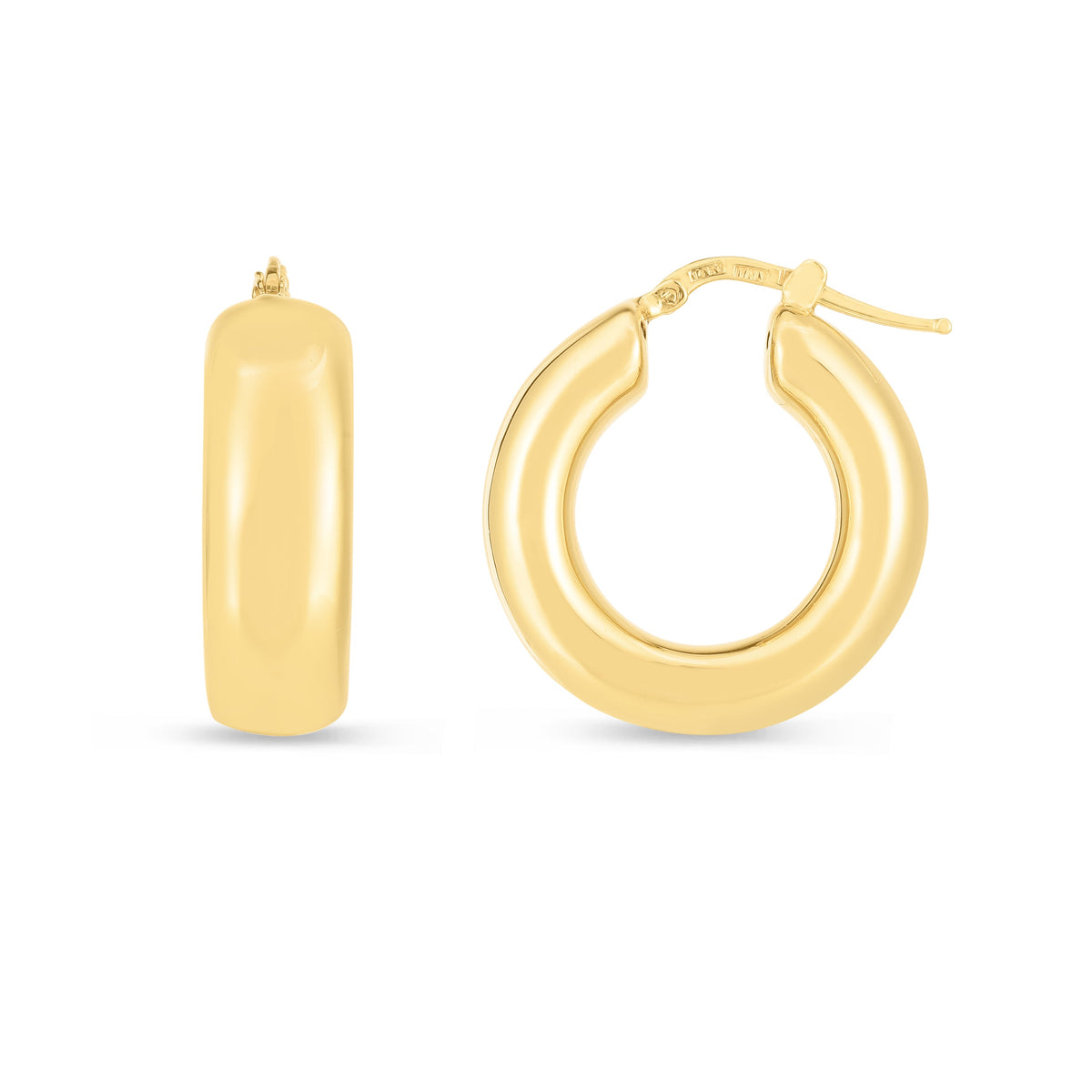 14K Yellow Gold Earrings | Carroll's