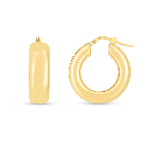 14K Yellow Gold Earrings | Carroll's