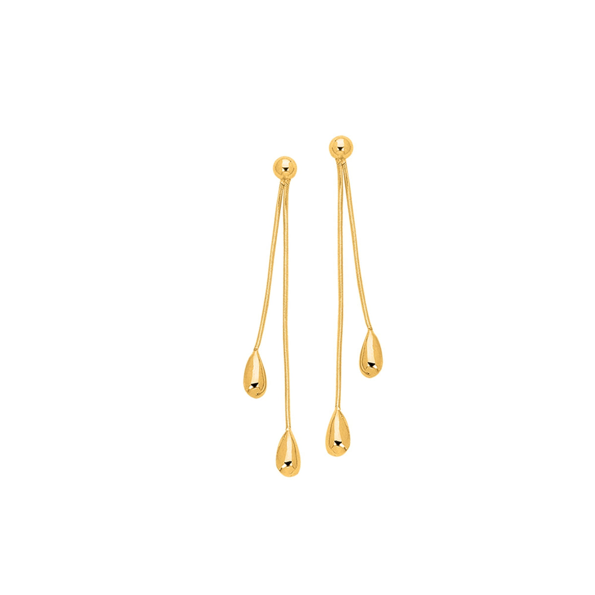 14K Yellow Gold Earrings | Carroll's