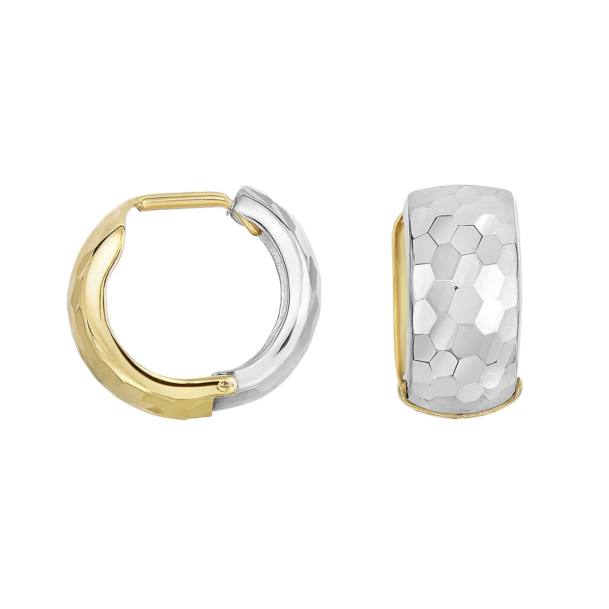 14K Two-Tone Gold Earrings | Carroll's