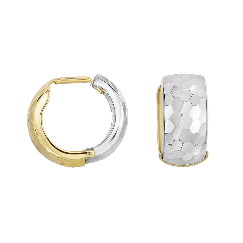 14K Two-Tone Gold Earrings | Carroll's